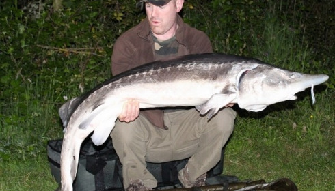 A 56 lb carp from Blue Lake, Matt Linstead, May 2015