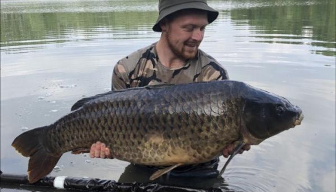 A carp from Blue Lake, alex radford, Jul 2018