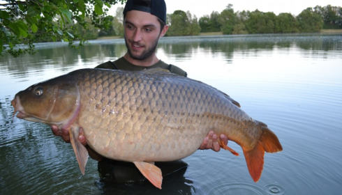 A 38 lb carp from Blue Lake, James Amer, Jun 2015