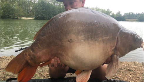 A 45 lb carp from Blue Lake, alan tsang, Sep 2018