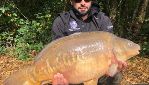 A 36 lb 12 oz carp from Blue Lake, shergold, Sep 2019