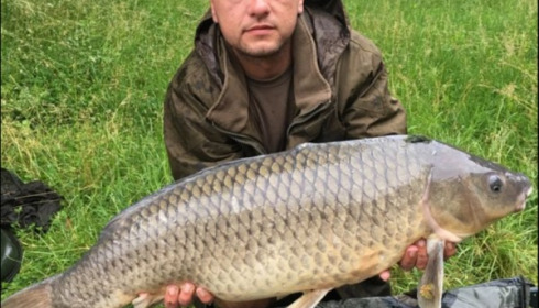 A carp from Blue Lake, Jun 2018