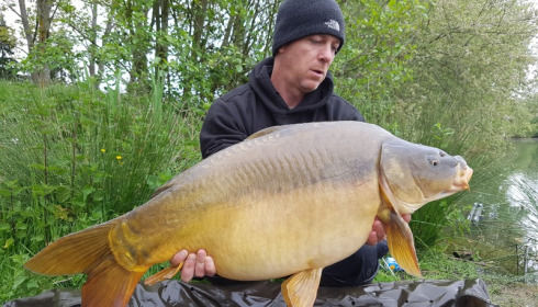 A 31 lb carp from Blue Lake, candler, May 2016