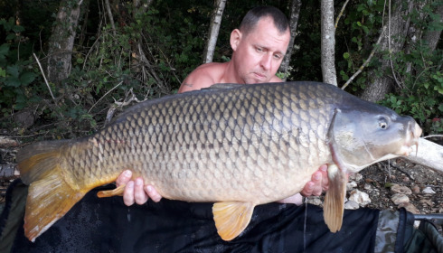 A carp from Blue Lake, delzeeuk, Sep 2021