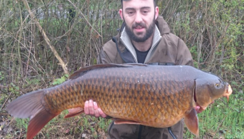 A 34 lb carp from Blue Lake, Matt Slade, Apr 2018