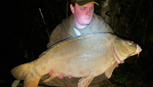 A carp from Blue Lake, Oct 2017
