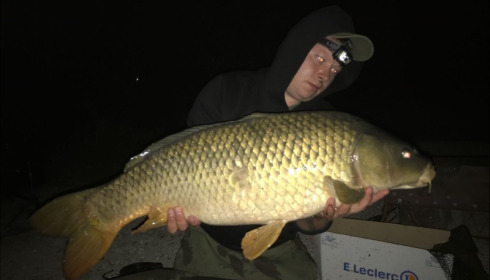 A 31 lb carp from Blue Lake, Algimantas Raila, Aug 2018