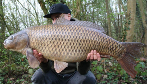 A carp from Blue Lake, Apr 2019
