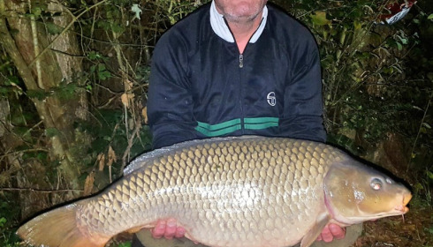 A carp from Blue Lake, Oct 2017