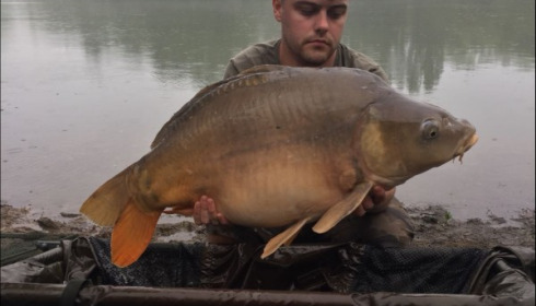 A 32 lb carp from Blue Lake, mark tee, Jun 2018
