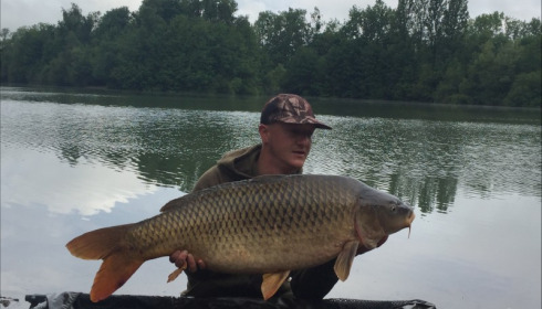 A 34 lb carp from Blue Lake, jim mitchell, Jun 2018