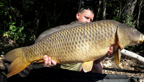 A carp from Blue Lake, delzeeuk, Sep 2021