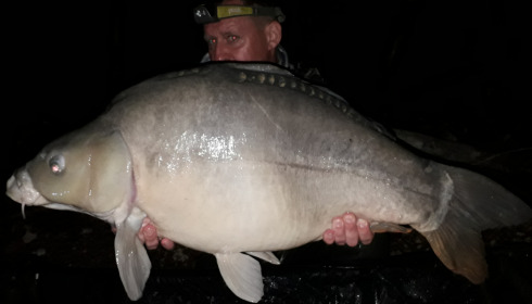 A carp from Blue Lake, delzeeuk, Sep 2021