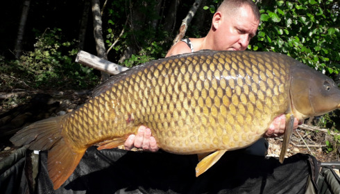 A carp from Blue Lake, delzeeuk, Sep 2021