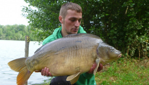 A 30 lb carp from Blue Lake, taylor, Jun 2015
