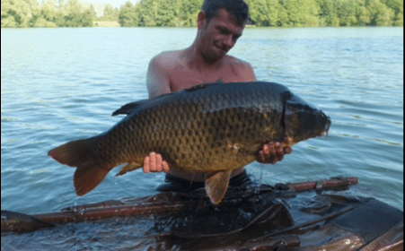 A 41 lb 8 oz carp from Blue Lake, Steve Lewis, Aug 2018