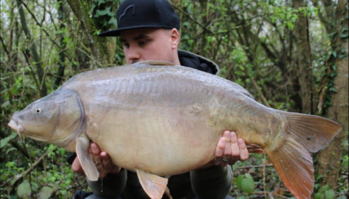 A carp from Blue Lake, Apr 2019