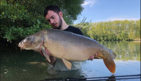 A carp from Blue Lake, tyler akins, Sep 2018
