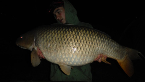 A 37 lb carp from Blue Lake, sam clare, May 2016