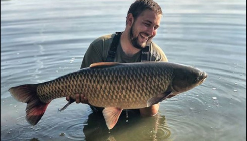 A grass carp from Blue Lake, Aug 2018