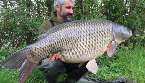 A carp from Blue Lake, May 2019