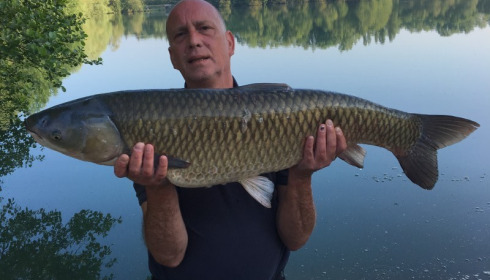 A 32 lb grass carp from Blue Lake, Andrew Golds, May 2018