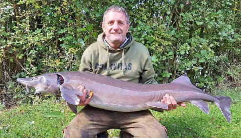 A carp from Blue Lake, Oct 2017