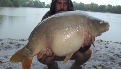A 31 lb carp from Blue Lake, jonathan collect, Aug 2015