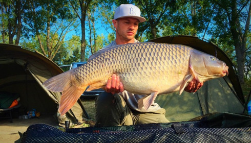 A carp from Blue Lake, david carpenter, Sep 2016