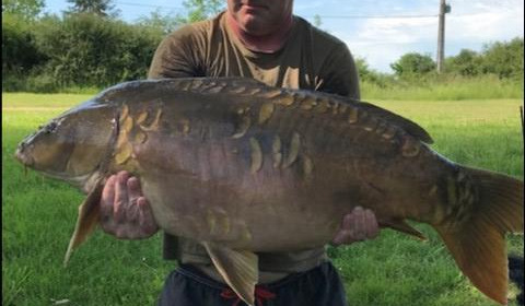 A carp from Blue Lake, kevin bannister, Jun 2019