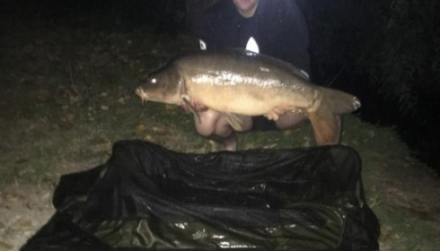 A 36 lb carp from Blue Lake, david carpenter, Aug 2016