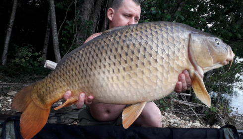A carp from Blue Lake, delzeeuk, Sep 2021