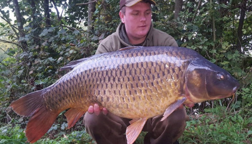 A carp from Blue Lake, Oct 2017
