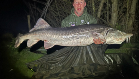 A fish from Blue Lake, 104 sturgeon, Apr 2022