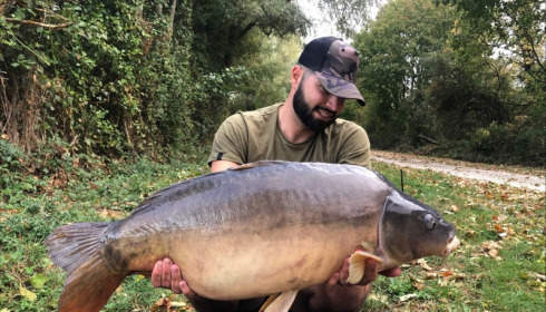 A 33 lb carp from Blue Lake, shergold, Sep 2019