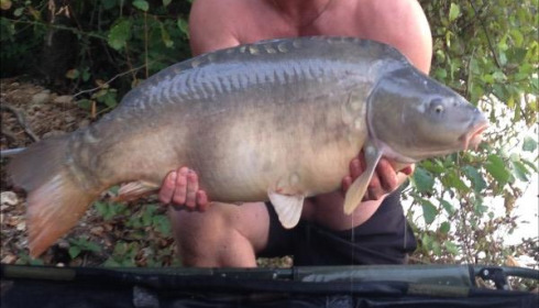 A carp from Blue Lake, darren oxborough, Sep 2018