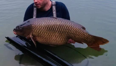 A fish from Blue Lake, Sep 2021
