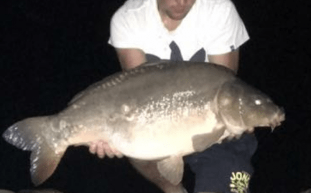 A 38 lb carp from Blue Lake, david carpenter, Aug 2016