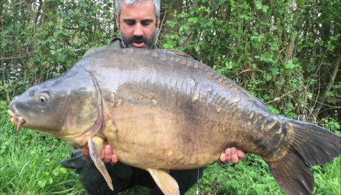 A carp from Blue Lake, May 2019
