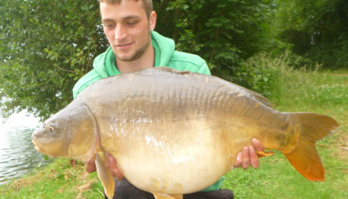 A 35 lb carp from Blue Lake, taylor, Jun 2015