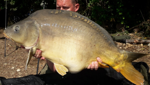A carp from Blue Lake, delzeeuk, Sep 2021