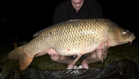 A 30 lb 12 oz carp from Blue Lake, Harry Painter, Jul 2019