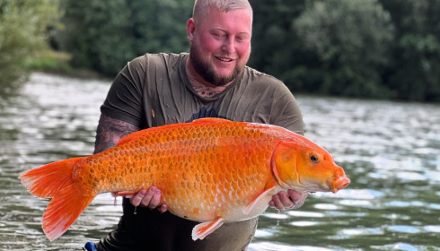 A carp from Blue Lake, Aug 2022
