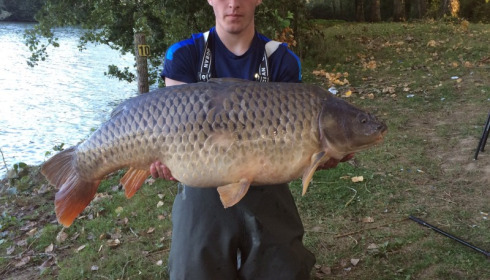 A 43 lb carp from Blue Lake, chris pollard, Sep 2015
