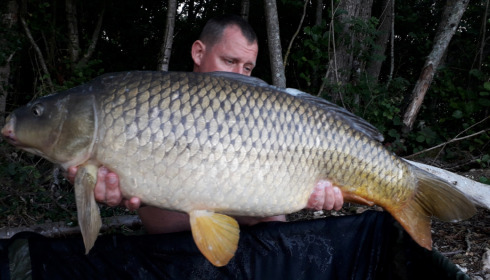A carp from Blue Lake, delzeeuk, Sep 2021