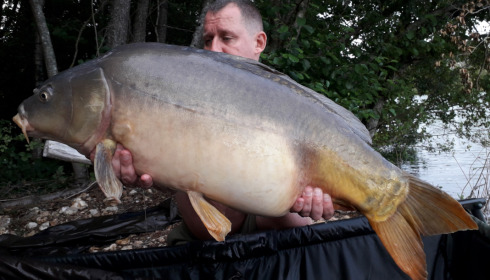 A carp from Blue Lake, delzeeuk, Sep 2021