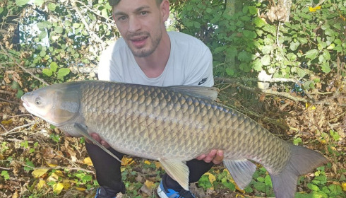 A grass carp from Blue Lake, Oct 2017