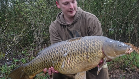 A 30 lb 2 oz carp from Blue Lake, Danial Curl, Apr 2018