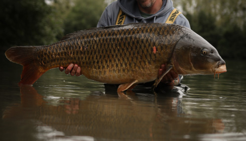 A fish from Blue Lake, Nigel Hatton 40lb, Sep 2021