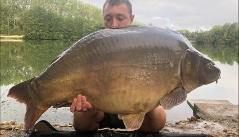 A 53 lb carp from Blue Lake, alan tsang, Sep 2018